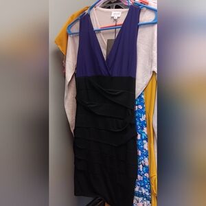 Elegant Purple and Black Dress